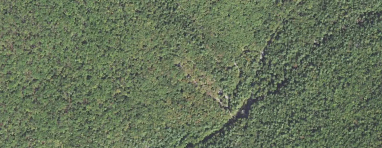 Satellite view of Hosack Run Campground at Caledonia State Park, with its 54 sites marked