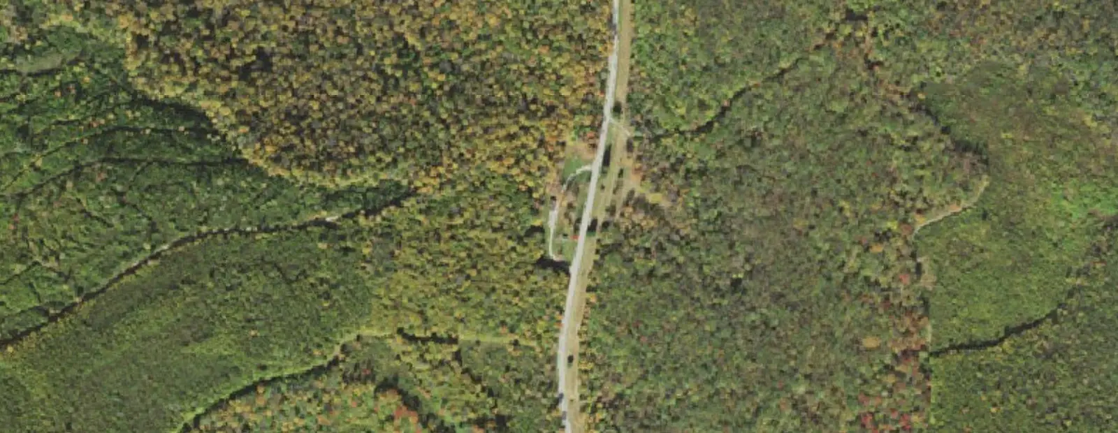 Satellite view of Patterson State Park Campground, with its 10 sites marked
