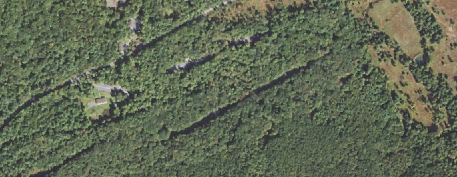 Satellite view of Reeds Gap State Park Campground, with its 14 sites marked