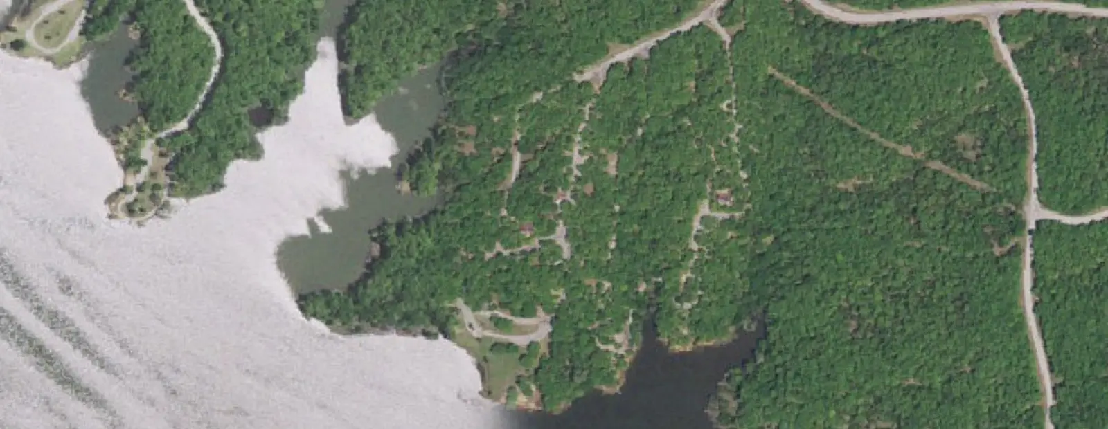 Satellite view of Buckhorn Campground, with its 90 sites marked