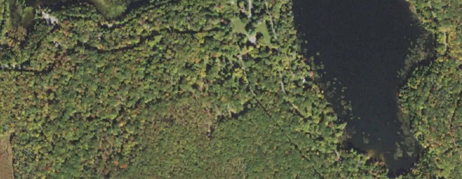 Satellite view of Deerfield Campground at Promised Land State Park, with its 34 sites marked