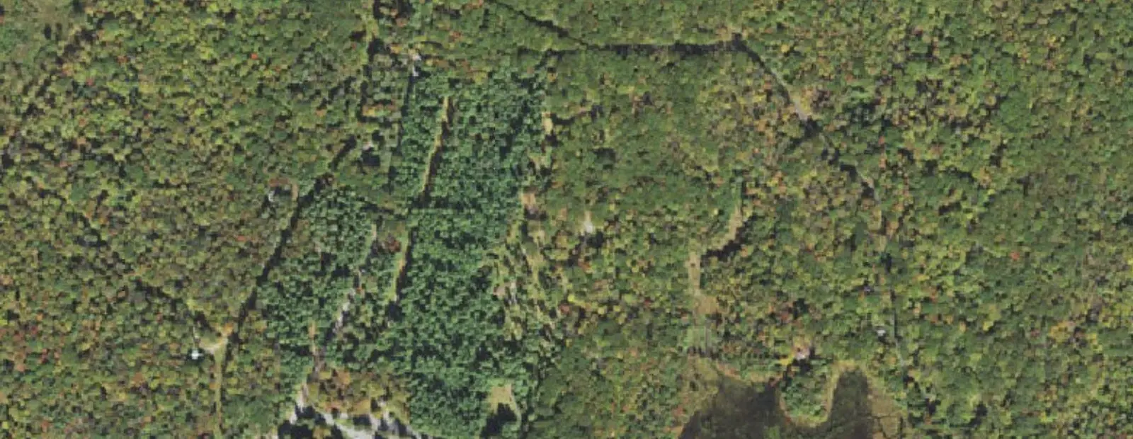 Satellite view of Pines Campground at Promised Land State Park, with its 58 sites marked