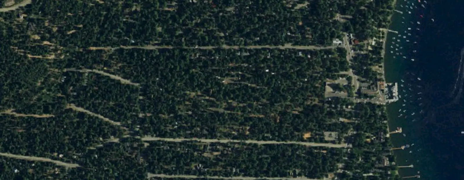 Satellite view of William Kent Campground, with its 79 sites marked
