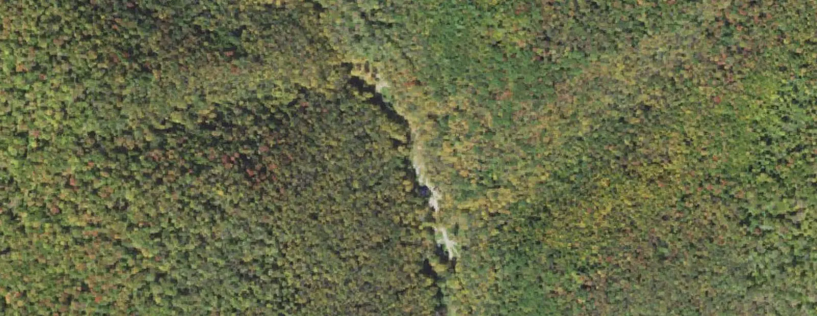 Satellite view of Daggett Campground at Lyman Run State Park, with its 19 sites marked