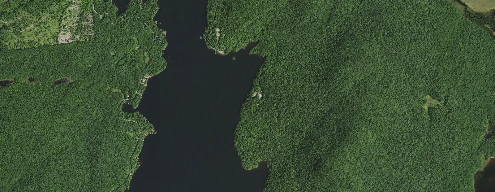 Satellite view of Cranberry Lake Campground, with its 173 sites marked