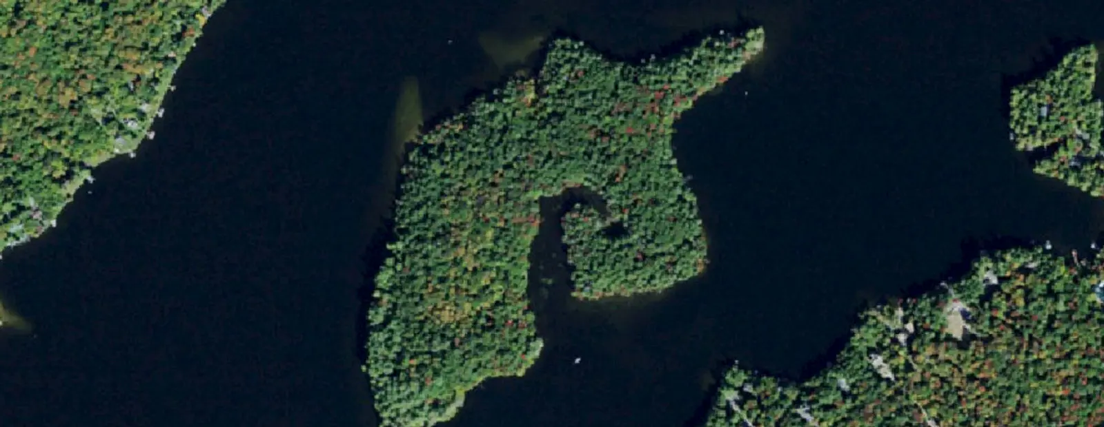Satellite view of Alger Island Campground, with its 17 sites marked
