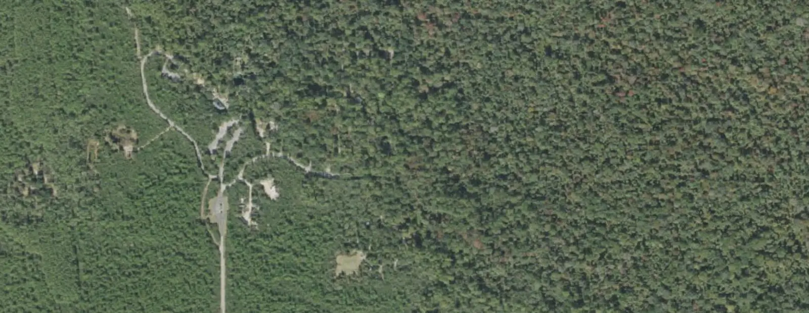 Satellite view of Juniper Springs Rec Area, with its 76 sites marked