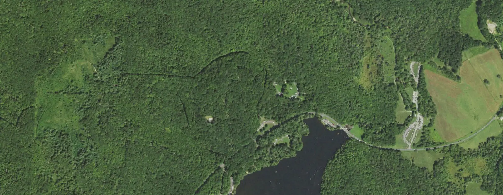 Satellite view of Julian Price Campground, with its 192 sites marked