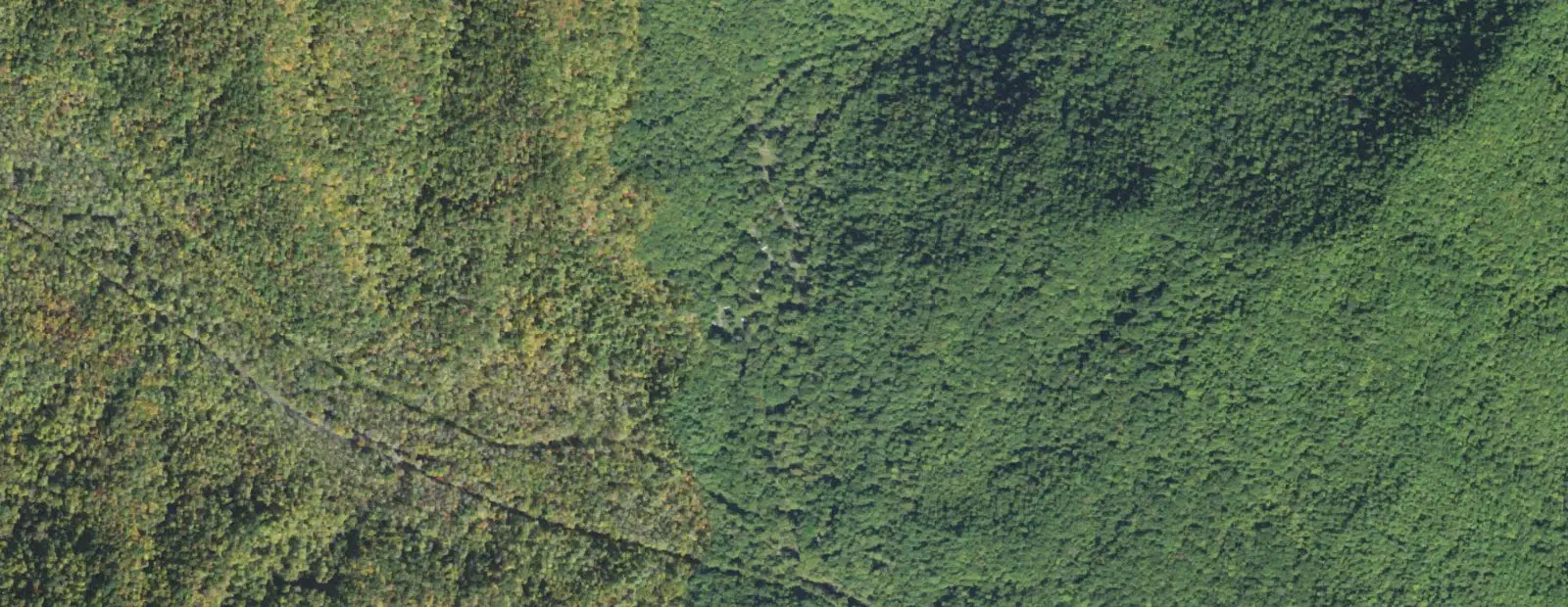Satellite view of Smokemont Campground, with its 142 sites marked