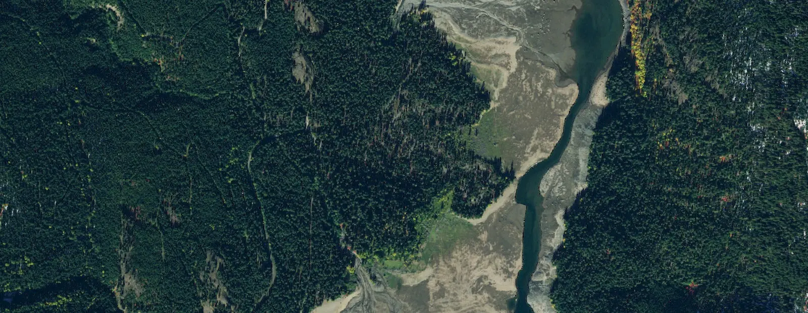 Satellite view of Kachess Campground, with its 141 sites marked