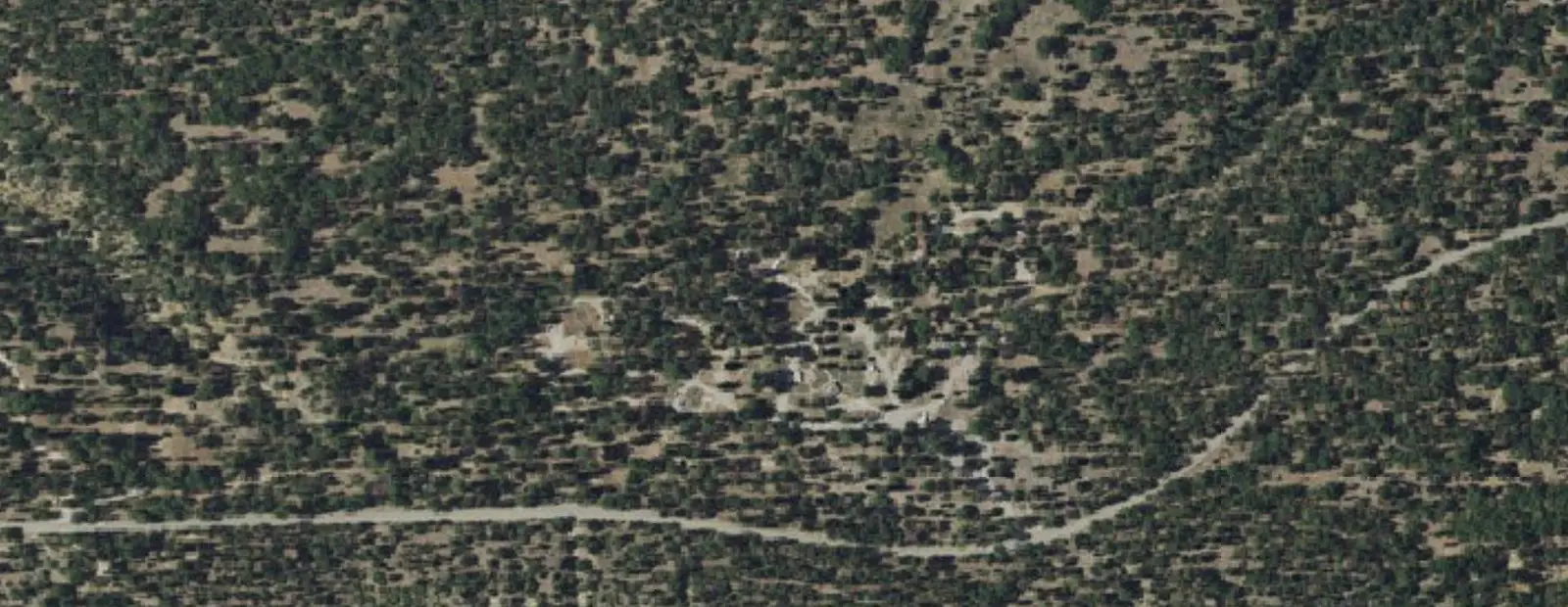 Satellite view of Barton Flats Campground, with its 52 sites marked