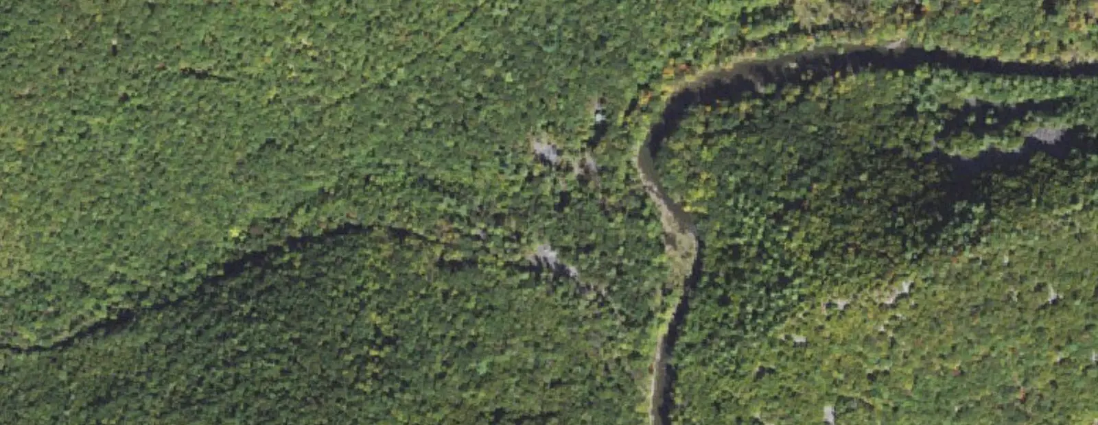 Satellite view of Poe Paddy State Park Campground, with its 37 sites marked