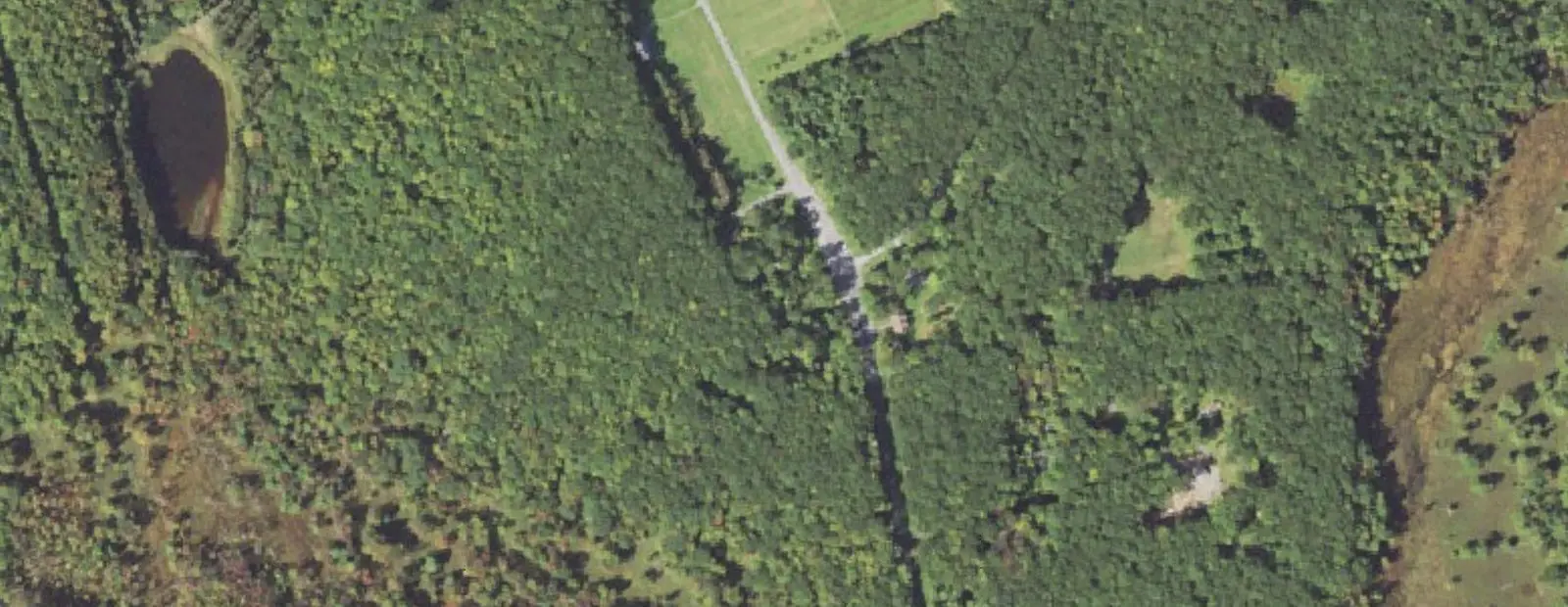 Satellite view of Simon B. Elliott State Park Campground, with its 25 sites marked