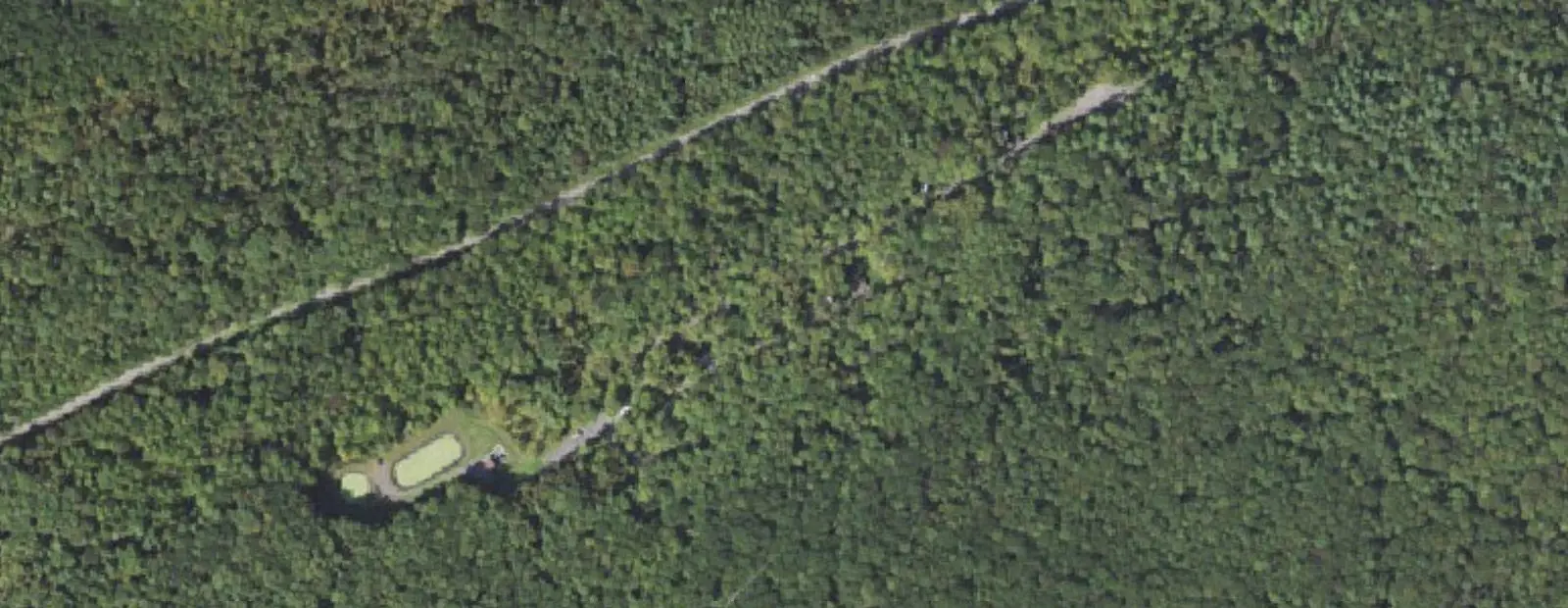 Satellite view of Greenwood Furnace State Park Campground, with its 51 sites marked