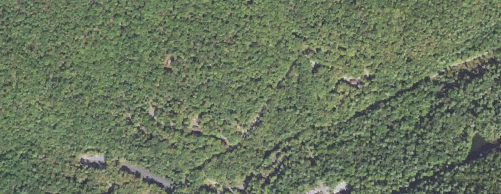 Satellite view of Chinquapin Hill Campground at Caledonia State Park, with its 119 sites marked