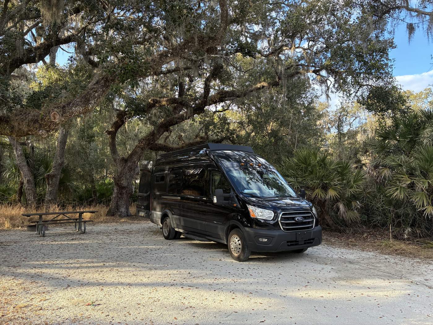 Our black cargo van parked in a campsite under live oaks hung with Spanish moss